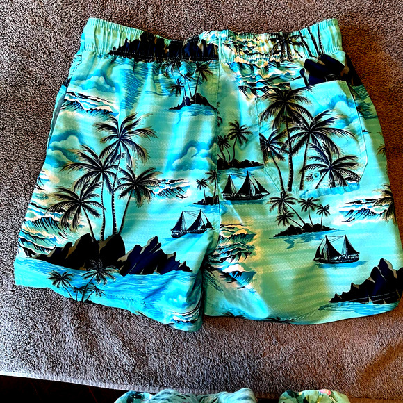 Jake Austin Swim Trunks - M - Picture 2 of 4